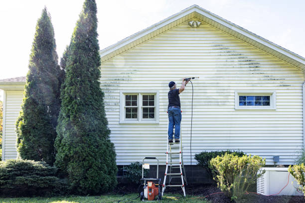Best Deck Cleaning Services  in Cedar Crest, MA